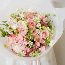 Load image into Gallery viewer, Cotton Kiss