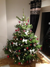 將圖片載入圖庫檢視器 高品質美國高貴冷杉聖誕樹 4-5 英尺