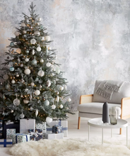 將圖片載入圖庫檢視器 AA+ 級貴族冷杉聖誕樹 6-7 英尺