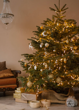 將圖片載入圖庫檢視器 AA+ 級貴族冷杉聖誕樹 7-8 英尺
