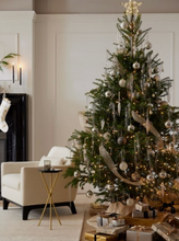 將圖片載入圖庫檢視器 香港最佳貴族冷杉聖誕樹 9-10 英尺