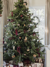 將圖片載入圖庫檢視器 香港最佳貴族冷杉聖誕樹 9-10 英尺