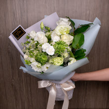 Load image into Gallery viewer, SNOW WHITE